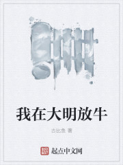 我在大明放牛封面