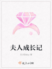 夫人成长记封面