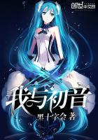 我与初音封面