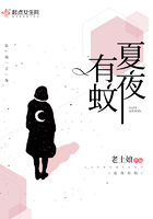 夏夜有蚊封面