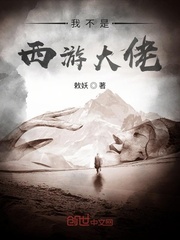 我不是西游大佬封面