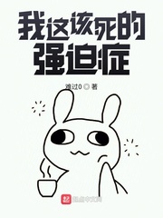 我这该死的强迫症封面