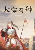 大宋有种封面
