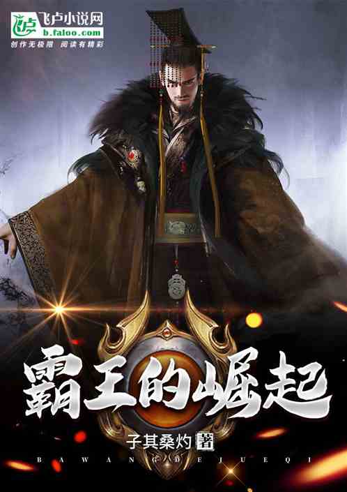 霸王的崛起封面