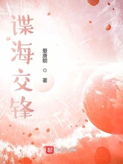 谍海交锋封面