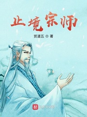止境宗师封面