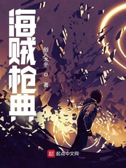 海贼枪典封面