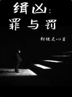 缉凶：罪与罚封面