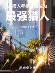 穿越从猎人开始封面