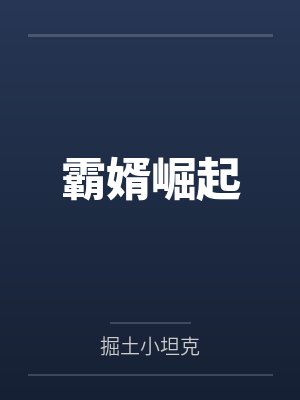霸婿崛起封面