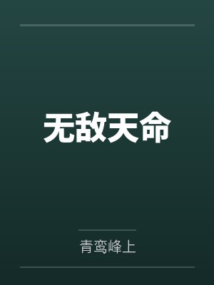 无敌天命封面