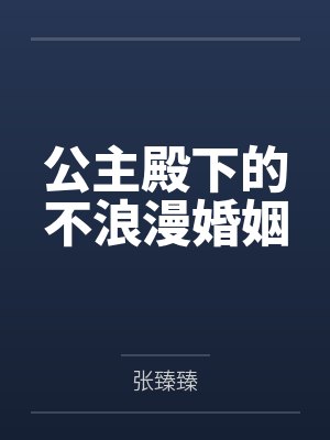 公主殿下小说全集封面