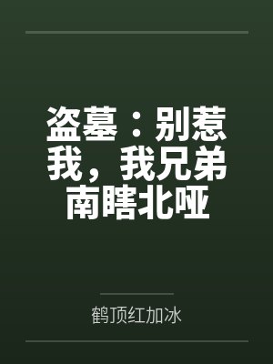 盗墓：别惹我，我兄弟南瞎北哑封面