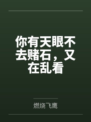 你有天眼不去赌石，又在乱看封面