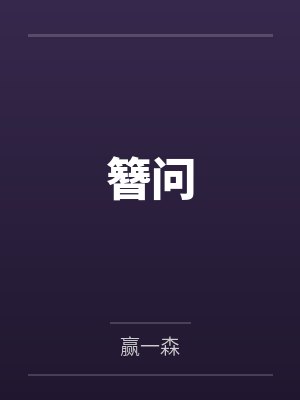 簪问封面