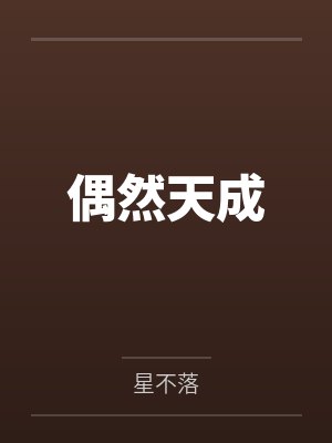 偶然天成封面