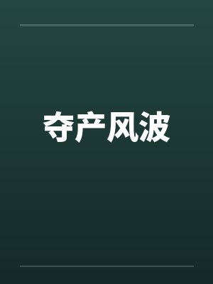 夺产风波封面