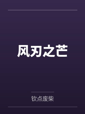 风刃之芒封面