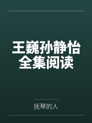 王巍孙静怡全集阅读封面